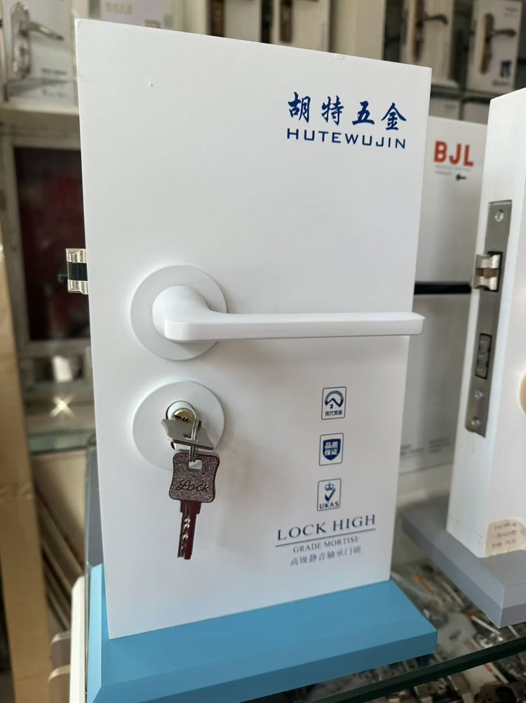Standard Door Locks-9