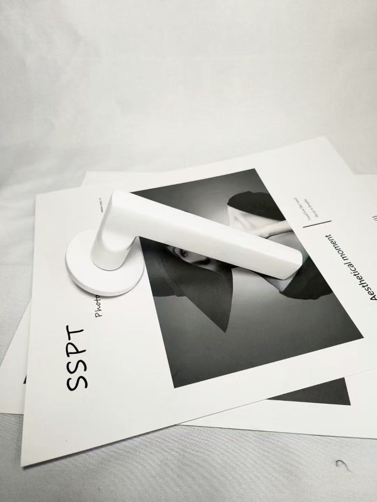 Standard Door Locks-11