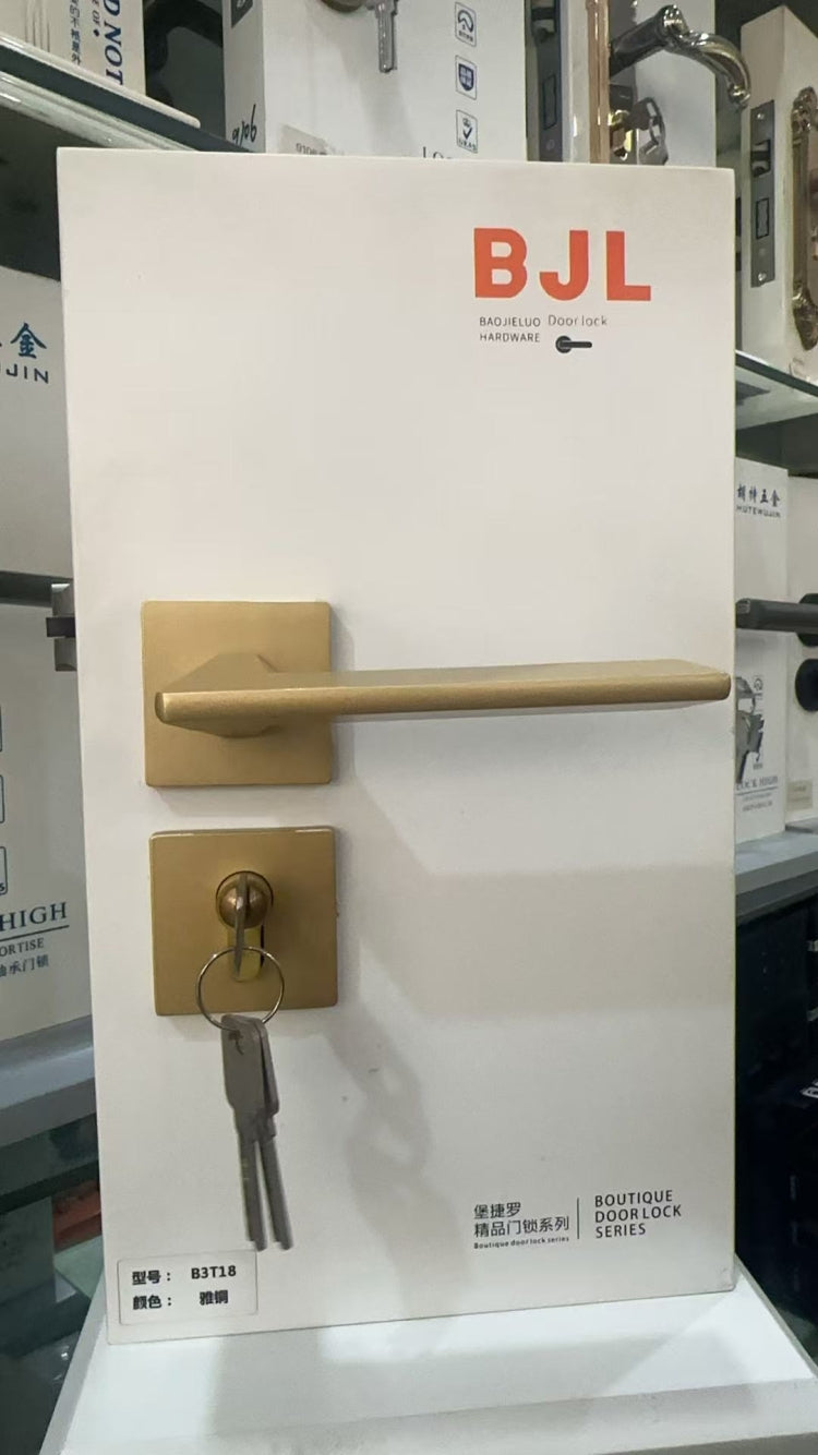 Standard Door Locks-12